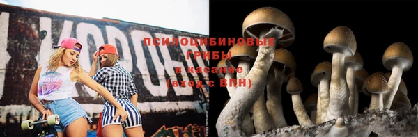 стаф Видное