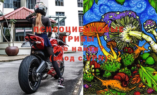молекула духа Магас