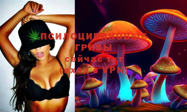 ешки Медногорск