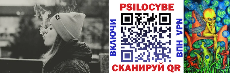 Псилоцибиновые грибы Cubensis  ОМГ ОМГ сайт  Новосокольники 